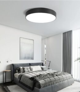 Plafon Lamp